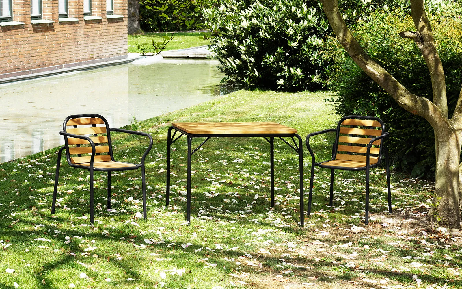 Vig Robinia Chair